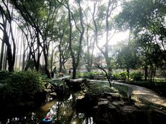 -上海醉白池公园