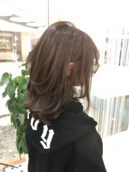-艺之剪
