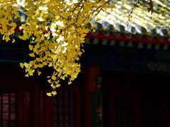 -红螺寺