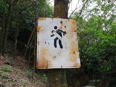 -阳台山森林公园