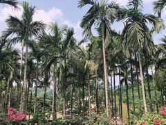 -七仙岭温泉国家森林公园