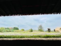 -良渚古城遗址公园