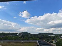 -上海佘山世茂艾美酒店