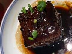 -椿不老