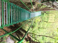 藏龙百瀑-藏龙百瀑风景区