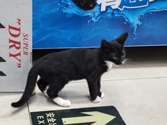 -Wagas沃歌斯(富力广场店)