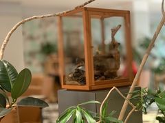 -一尺花园(安和花园店)