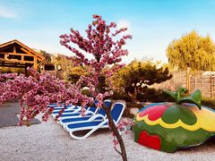 -郑州银基黄帝宫御温泉