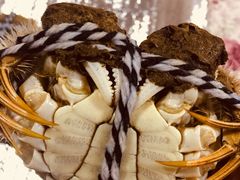 -丫丫蟹庄·苏式园林农家乐·阳澄湖大闸蟹(阳澄湖莲花岛店)