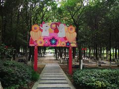 -白马涧龙池景区