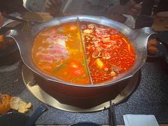 -湊湊火锅·茶憩(南京东路悦荟店)