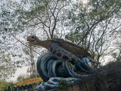 -广东惠东海龟国家级自然保护区