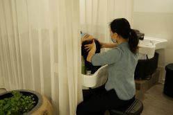 -舒欣头疗·俏丝谧语 白发脱发专业护理 