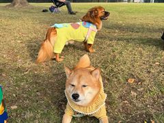-上海月湖雕塑公园