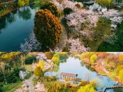 -苏州上方山国家森林公园