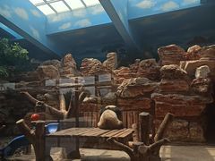 -石家庄市动物园