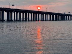 -宝安西湾红树林湿地公园