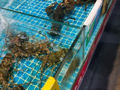 -三亚火车头万人海鲜广场