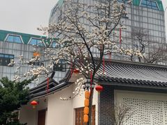 -白沙古井