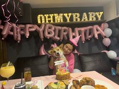 香草柠檬烤鸡-百好乐宠物友好餐厅(朝外大街店)