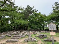 -名古屋城
