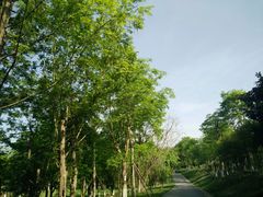 -白鹭湾湿地公园