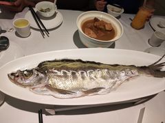 -西湖春天•老字号杭州菜(百汇店)