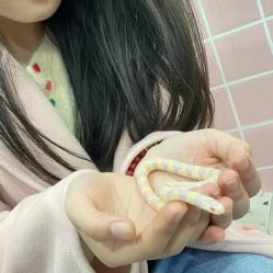 -Moni星球萌宠·小马宝莉·灵蛇·高端高阶全萌宠互动体验俱乐部(红豆国际广场店)