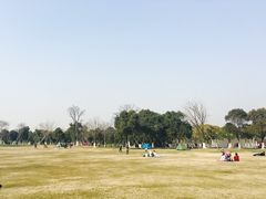 -吴淞炮台湾湿地森林公园烧烤区