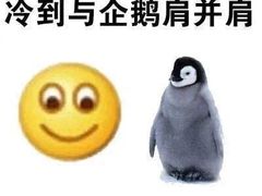 -耶里夏丽·新疆菜(南丹东路店)