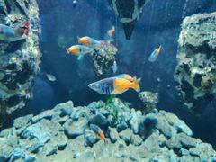 -成都浩海立方海洋公园