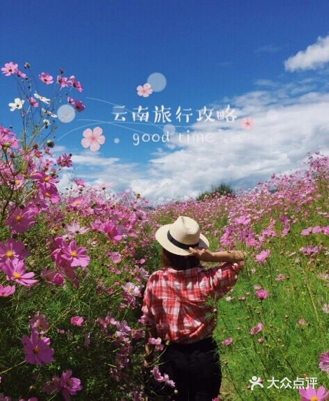 云南旅游攻略➿