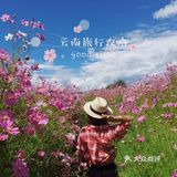 云南旅游攻略➿