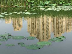 -前关湿地公园