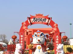 -荷兰花海