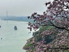 -大渡口区义渡公园