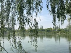-东方之珠洗浴休闲广场(南开店)