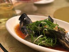 -荣誉海鲜酒楼(海湾店)