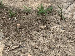 -碓臼峪自然风景区