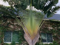 -三亚南山文化旅游区