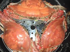 -东北大菜馆(延长路店)