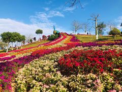 -东莞植物园