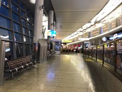 -谢列梅捷沃国际机场