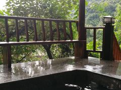 -天门沟九州驿站树上汤泉