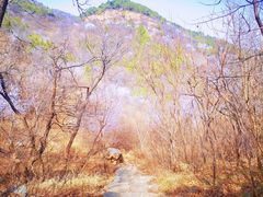 -北京西山国家森林公园