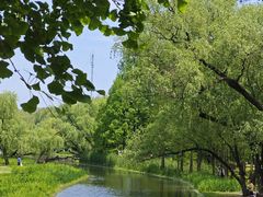 -上海共青森林公园