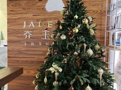 -齐玉齿科JADENTAL