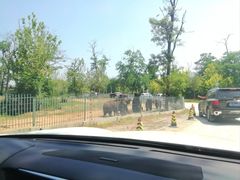 -秦皇岛野生动物园