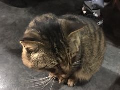 -随柳居·苏式小吃(建新巷店)