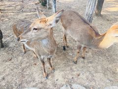 -观唐（国际）度假村温泉